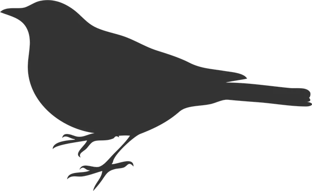 /media/178112/DSC07240_produkt.jpg