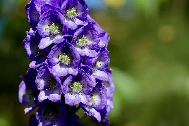 /media/384331/IMG_7081_produkt.jpg